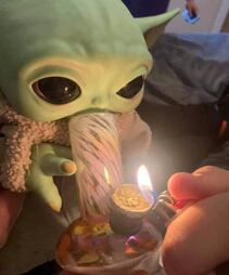 juVIBES