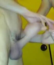 ErectionBoy