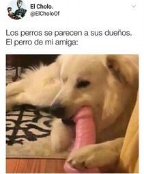 sammy322