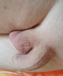 Schwanzliebhaber2